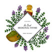 © Kseniia - Hand drawn thyme frame. Vector illustration isolated on white. Botanical herbal plant in vintage colored sketch style. Thymus vulgaris.