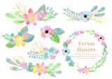Fototapeta Motyle - 水彩のお花の飾りフレームセット
