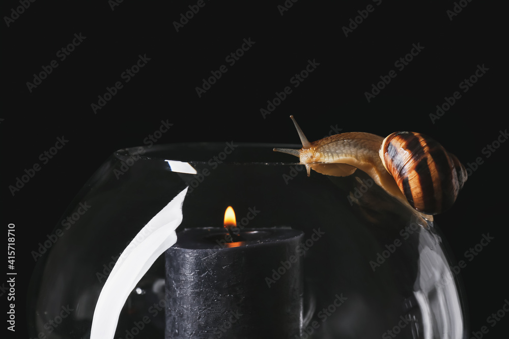 Glass vase with snails and candle on dark background