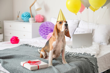 Sticker - Cute dog celebrating birthday at home