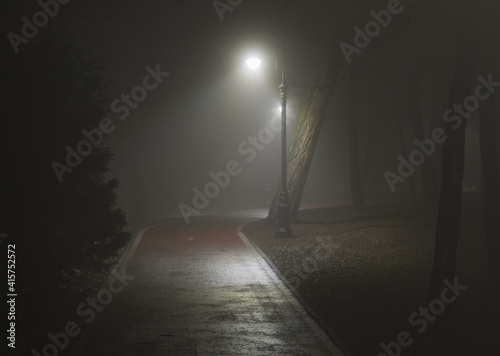 Fototapeta na szkło lantern lights on the road in the forest in the fog
