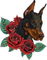 Wall Mural - vector Dobermann dog face with red roses