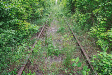 old rusty abandoned railway overgrown with grass, so railway sleepers are not visible 