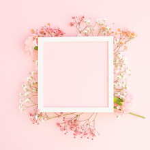 Creative Spring Greeting Card Design. Branches Of White, And Pink  Gypsophila And Fresh Carnations  Flowers With  Square Photo Frame On Pastel Pink Background. Birthday,  Mother's Day. Copy Space.