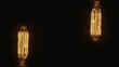 Dwie żarówki Edisona, ozdobne żarówki na ciemnym tle 