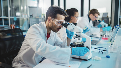 Wall Mural - medical science laboratory: row of diverse team of multi-ethnic young scientists looking under micro