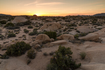 Wall Mural - dramatic and beautiful landscape photo of Joshua Tree National Park in California,USA.