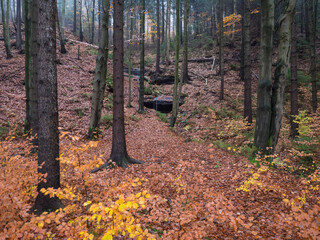 small spring cascade in autumn mixed forest with moss, ferns, stones and orange fallen leaves in Luzicke hory Lusatian Mountains, Czech Republic. Moody fall day