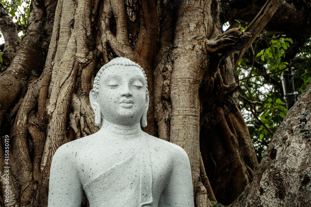 Kamienny posąg statua Buddy na tle drzewa w buddyjskiej świątyni. - obrazy, fototapety, plakaty 