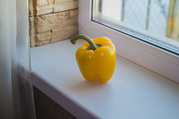 photo of yellow sweet bell pepper