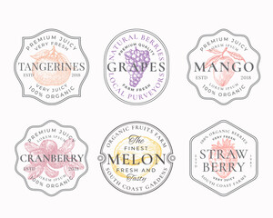 Wall Mural - fruits and berries frame badges or logo templates collection. hand drawn tangerine, mango, grapes, m