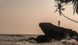 Podróżnik stojący na skale na wybrzeżu oceanu na tle palm i zachodzącego nieba.
