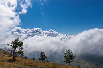 Wall Mural - clouds over the mountains