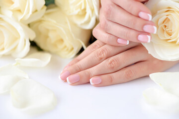 Wall Mural - Hands of a woman with beautiful french manicure and white roses