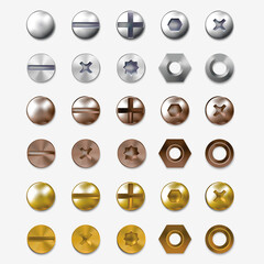 Fototapete - Realistic Detailed 3d Steel or Brass Heads Screws Set. Vector