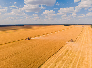 Wall Mural - Aerial view of summer harvest. Combine harvester harvesting large field.