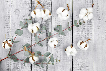 Wall Mural - Cotton plant white flowers and green eucalyptus leaves on grey wooden background