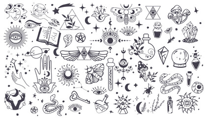 Wall Mural - black witch stuff. set witchcraft, magic elements. collection of mystical and astrology objects. mys