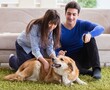 © Elnur - Happy family with golden retriever dog