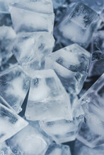 Close-up Of Ice Cubes In Freezer Tray With Cold Blue Tones