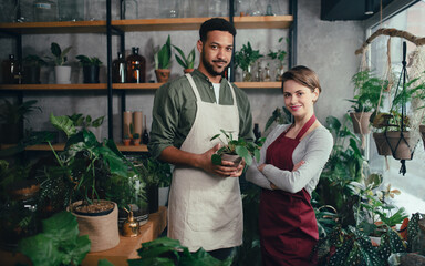 Shop assistants working in indoor potted plant store, small business concept.