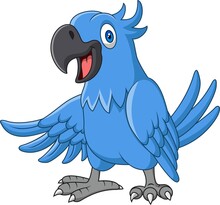 Cartoon Funny Blue Macaw Isolated On White Background