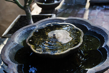 Poster - garden fountain 