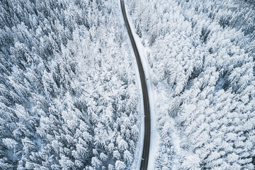 Aufkleber - Beautiful winter forest and road. Aerial view