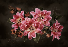 Pink Tulips And Ornithogalum Flowers On Dark Background