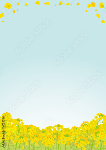 菜の花イラスト素材 Stock Vector Adobe Stock