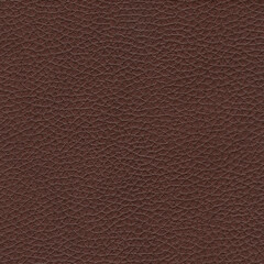 Wall Mural - Brown leather texture. Skin pattern background