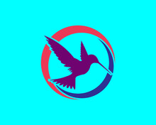 Humming-bird Icon. Beautiful Bird, Isolated On The Blue Background. Vector Illustration.