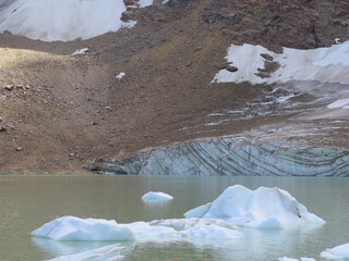 the lake in front of the Angel Glacier with ice cubes, Mount Edith Cavell, Jasper National Park, Rocky Mountains, Alberta, Canada, July