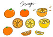 一筆書き　みかん（カラー）オレンジ、グレープフルーツ