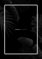 Wall Mural - Dark monochrome tropical design with exotic banana leaves, soft neon frames and space for text. Vector summer template for poster, banner, card or flyer.