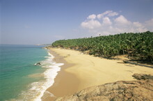 Beach And Coconut Palms, Kovalam, Kerala State, India, Asia