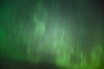 Wall Mural - bright green northern lights in the night sky over sweden