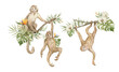 Watercolor cute monkeys and floral tropical bouquets. Exotic tropical animals, monkeys on the tree and plants, flowers. 