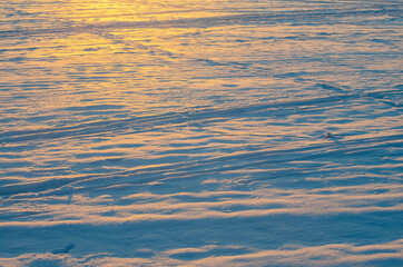  close up white snow in winter at sunset, background