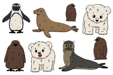 Vector Penguin, King Penguin Chick, Fur Seal, Polar Bear Cub, Small Common Seal. Set Of Isolated Small Cartoon Outline Cute Sea And Ocean Animals For Kids Book, Stickers Or Prints For Clothes.