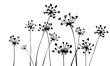 Background with inflorescences silhouettes. Grass. Herbs. Spring or summer floral background.