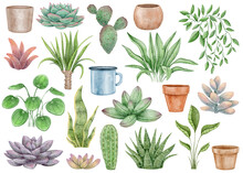 Watercolor Set Home Plants And Pots: Cacti, Succulents. Set For Creating Decor For The House. Plants On A White Background Elements For Design And Decoration