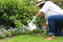 African American Senior Woman Wearing Gardening Gloves Smiling While Watering Plants In The Garden