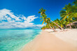 Palm trees on the tropical beach, Dominican Republic, Punta Cana, Saona Island