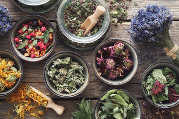 bowls and jars of dry medicinal herbs. healing herbs assortment, top view. alternative medicine.