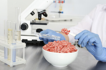 Wall Mural - scientist inspecting forcemeat in laboratory, closeup. food quality control