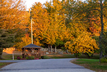 Vibrant Autumn Trees In New England