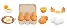 Raw, Hard Boiled, Fried Chicken Eggs, Vector Isolated Illustration. Whole And Broken White And Yellow Fresh Raw Eggs. Yolk, Albumen, Eggshell, Open Consumer Carton Pack Mockup. Poultry Farming.