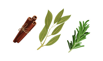 Canvas Print - Cinnamon Sticks and Rosemary Twig as Spice and Condiment Vector Set