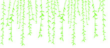 Vector Illustration Of Willow Branches With Leaves